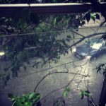 Neha Sharma Instagram - #mumbairains #iphonephotography