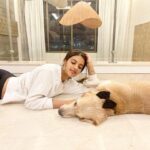 Nidhhi Agerwal Instagram - My happiness 🧚🏻‍♀️🧚🏻🧚🏻‍♀️🧚🏻🧚🏻‍♀️🧚🏻🧚🏻‍♀️🧚🏻🧚🏻‍♀️ #doglove #dogsofinstagram