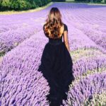 Nidhhi Agerwal Instagram - BTS of #mrmajnu 🦋 #lavender London, United Kingdom