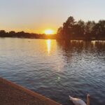 Nidhhi Agerwal Instagram - Good morning 😊 I hope your day is as peaceful as this view ✨ London, United Kingdom