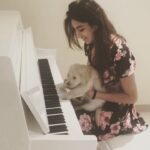 Nidhhi Agerwal Instagram - Introducing happy, we all need some happiness in our lives ❤️✨🐶 #puppy #loveofmylife