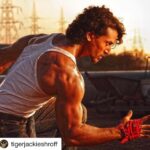 Nidhhi Agerwal Instagram - Munna saves the day ☀️ #munnamichael #Repost @tigerjackieshroff with @repostapp ・・・ It's not the fall that defines you, but it's what you do when you get back up. #fourthdayofaction #gettingbackup #lastschedule #lastactionscene #munnamichael #comingsoon @nidhhiagerwal @sabbir24x7 @vikirajani @eros_now @filmsnextgen