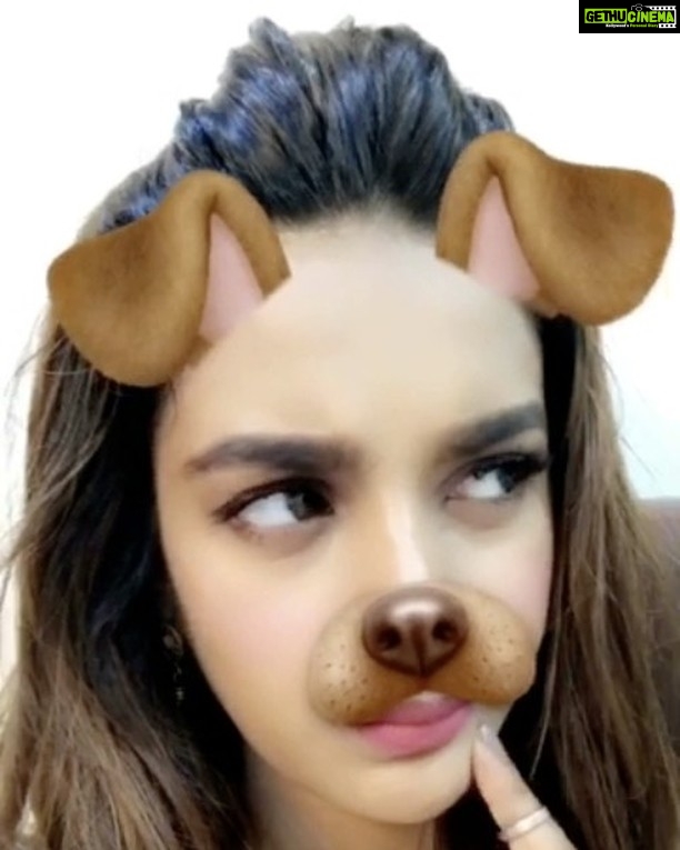 Nidhhi Agerwal Instagram - What would make my day better..... hmmmmmmm