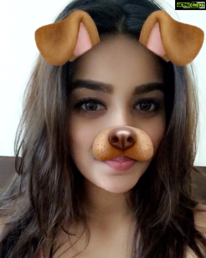 Nidhhi Agerwal Instagram - I'm a bored puppy 🐶☺️ #favouritefilter