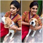 Nivetha Thomas Instagram – Pampering and petting this one 😊 Such a friendly, active and loving pup! Subbu my boyyyy… Ur a cutie! #pettingadogafterlong #subramanyam
