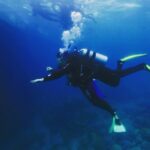 Parineeti Chopra Instagram - Snorkelled and dived in the Great Barrier Reef! Thanks @SunloverReefCruises ! @tropicalnorthqueensland @queensland #exploreTNQ #thisisqueensland