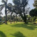 Parineeti Chopra Instagram – My lush green home in Ambala where I grew up. Fun fact:- my parents grow most of their own vegetables! Wish I was quarantined there right now 🌴 Photos by my mom @reenachopra.art Ambala, India