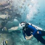 Parineeti Chopra Instagram – My meditation .. ✨🐠🌊 #StingRays #FeedingFrenzy Indian Ocean