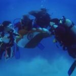 Parineeti Chopra Instagram – Happy Independence Day! 🇮🇳 we hoisted our flag a little differently back in May :) @charit24 @scuba_chinu @rakeshscuba Palau Micronesia