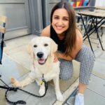Parineeti Chopra Instagram - Meet Luda. Jealous that @simrinj gets to be with her. Hi @tommyy_tsunamii . Can I steal your dogguuu? Thanks. #WannabeDogMom #IWantADog London, United Kingdom