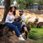 Parineeti Chopra Instagram - This little guy was the cutest!!!!! Meet Mr. Wombat from @ballaratwildlifepark !!! Its near @visitmelbourne @Australia #VisitMelbourne #VisitBallart #BallaratWildlifePark #SeeAustralia