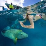 Parineeti Chopra Instagram - NO CAPTION NEEDED! Snorkelled in between my two dives ❤️🐬😍 #GreatBarrierReef @hamiltonisland @visitqueensland @australia @thetiltshiftcrew Australia