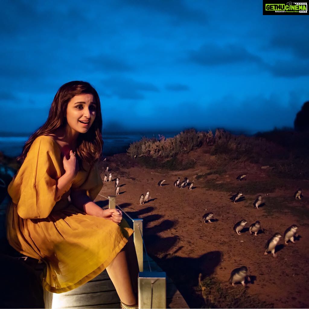 Parineeti Chopra - 659.3K Likes - Most Liked Instagram Photos