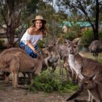 Parineeti Chopra Instagram - It beginsssss!! Meet my new friends!! Met them at the @ballaratwildlifepark near Melbourne. I think he liked my hat! 😋 @visitmelbourne @Australia @thetiltshiftcrew #SeeAustralia #Kangaroos Melbourne, Victoria, Australia