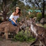 Parineeti Chopra Instagram – It beginsssss!! Meet my new friends!! Met them at the @ballaratwildlifepark near Melbourne. I think he liked my hat! 😋 @visitmelbourne @Australia @thetiltshiftcrew #SeeAustralia #Kangaroos Melbourne, Victoria, Australia