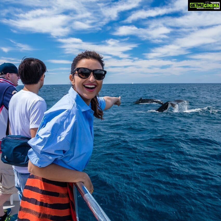 Parineeti Chopra Instagram - DREAM COME TRUE!! Spotting humpback whales in their homes! Exhilarating and breathtaking 🐋🌊 @WhalesinParadise @Queensland @DestinationGoldCoast @Australia #thisisqueensland #SeeAustralia Gold Coast, Queensland