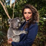 Parineeti Chopra Instagram - This little furball 🐨 is just what I needed to kickstart my holiday in Brisbane, never miss a Koala cuddle @lonepinekoala @visitbrisbane @Queensland #thisisqueensland @australia #SeeAustralia