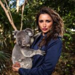 Parineeti Chopra Instagram - This little furball 🐨 is just what I needed to kickstart my holiday in Brisbane, never miss a Koala cuddle @lonepinekoala @visitbrisbane @Queensland #thisisqueensland @australia #SeeAustralia