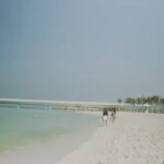 Parineeti Chopra Instagram - I'd eat my heart out if I had this beach to work it off on everyday! Living the dream, Dubai style. #discoveralnaseem Al Naseem Hotel, Madinat Jumeirah