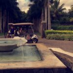 Parineeti Chopra Instagram – Best buggy driver in the world. ME! I should be employed by every hotel. @heritageresorts #Mauritius