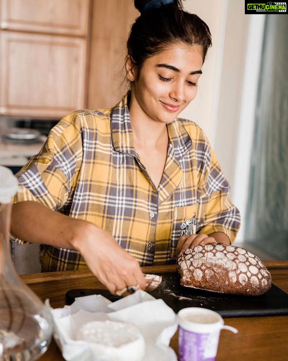 Pooja Hegde Instagram - Recovery mornings 🥰 #happypuppy