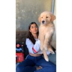 Pooja Hegde Instagram - @DroolsIndia is the food that's fit for Bruno, the king in my life. With 100% real chicken, it keeps him fit and fine and as his pet parent, what could be better. #Ad #Drools #FeedRealFeedClean #DogFood #FoodForDogs #DogNutrition #cute #happy #instagood #beautiful #tbt #fashion #me #photooftheday #instagood #RealChicken #healthydogfood #DogofInstagram #Dog #PetCare #Pets #PetsOfInstagram #food #Health #WhatsGoodForYourDog #HappyDog #DogLife #FurryFriends #RealNutrition #lionking