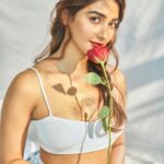 Pooja Hegde Instagram – Roses or chocolates? Pick one! ☺️