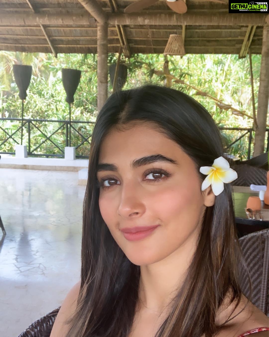 Pooja Hegde Instagram - Flower girl 🌼 #chillvibes