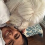 Pooja Hegde Instagram - What it looks like to be attacked with a whole lot of love...❤️ #throwback #smothered #mansbestfriend #dogsofinstagram #cutie #reunion #oldenglishsheepdog Dallas, Texas