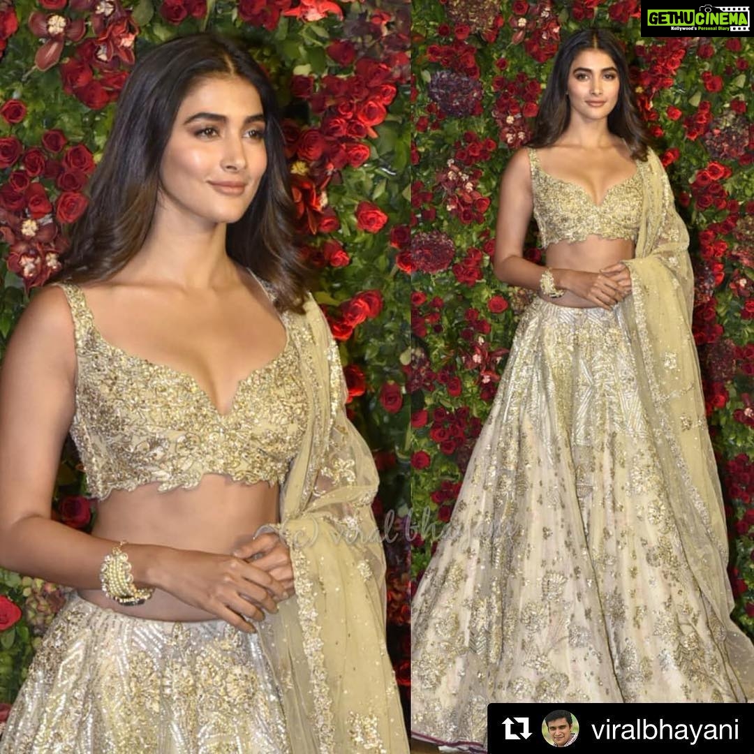 Pooja Hegde Instagram - #Repost @viralbhayani ・・・ #poojahegde at #deepikapadukone #ranveersingh #weddingreception #deepveerkishaadi ❤️❤️❤️ @viralbhayani