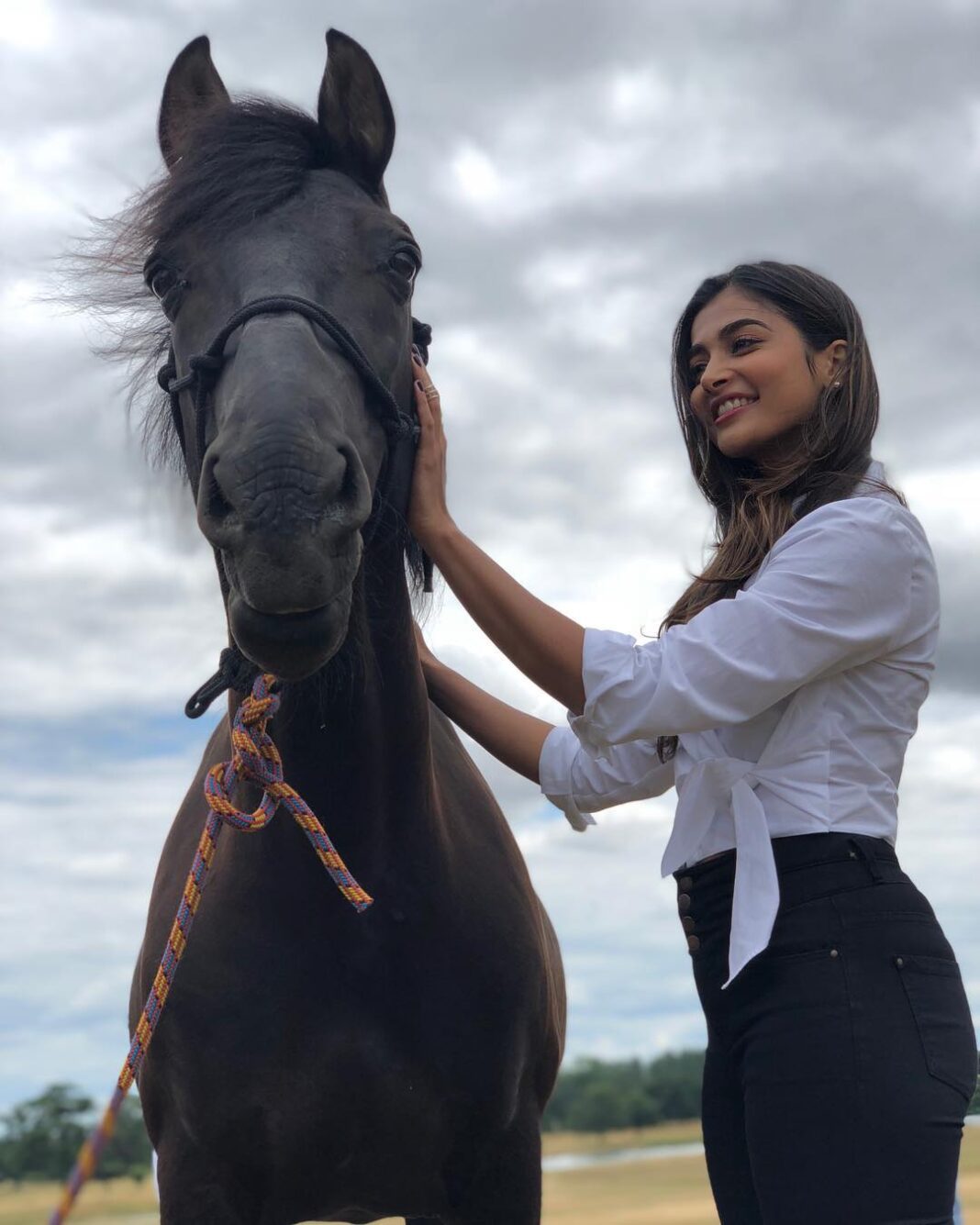 Pooja Hegde Instagram - A Dark horse and a silver lining 😉😉😏😏 #metaphors 😉