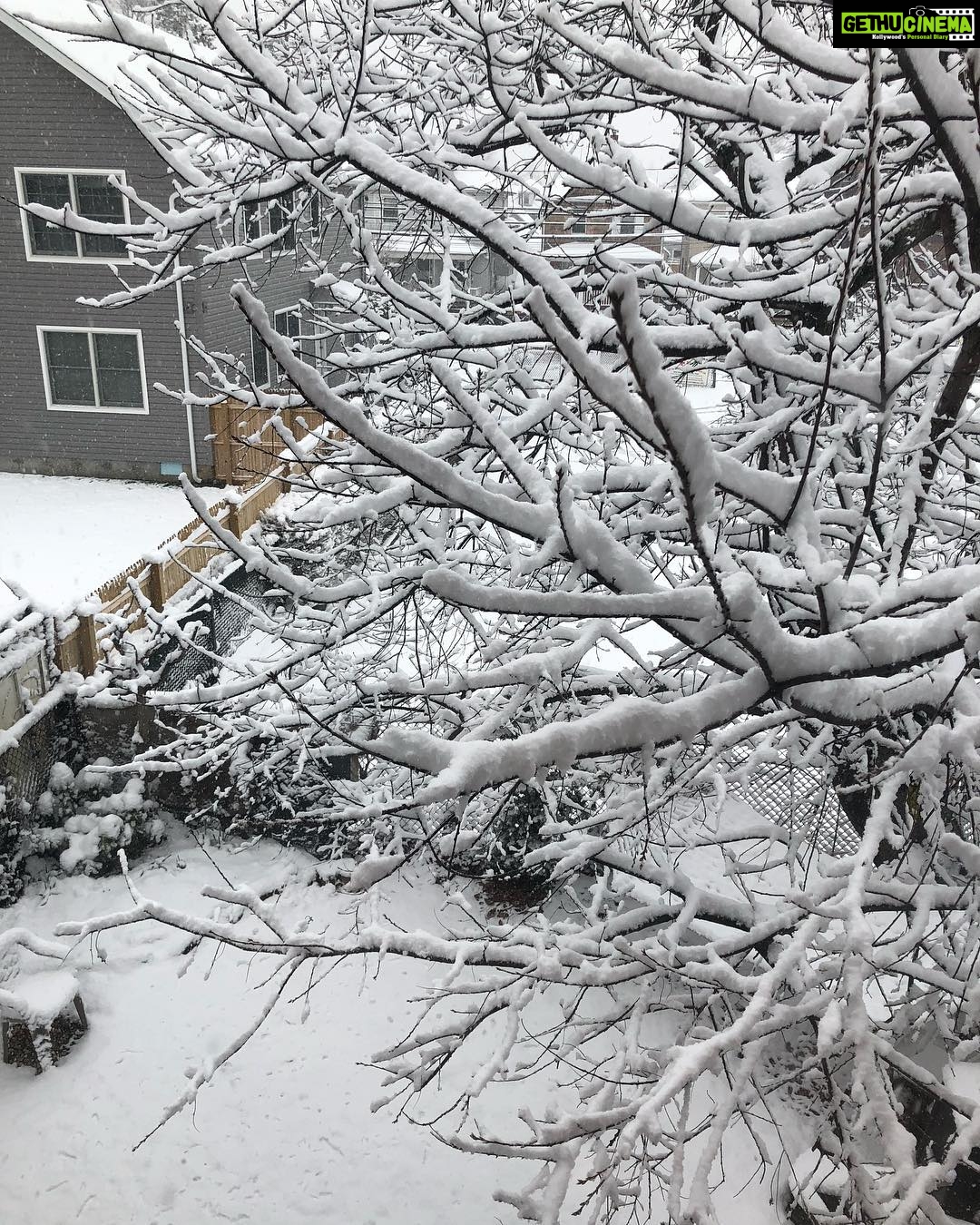 Pooja Hegde Instagram - It’s like living in the North Pole 😍 ❄️ ❄️ ⛄️ ⛄️ #nyc #snowday