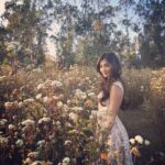 Pooja Hegde Instagram - One with nature ❤️❤️❤️ #peaceandcalm #flowerpower