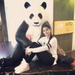Pooja Hegde Instagram - Always be yourself.UNLESS u can be a Panda,then you should ALWAYS be a Panda 🐼 😎 #gyaanfortheday #pandalove #spiritanimal #aintnothinglikeapanda