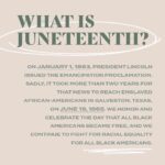 Pooja Kumar Instagram - Happy #juneteenth. #blm #equality #justice #peace