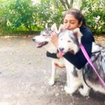 Pranitha Subhash Instagram – 🐶