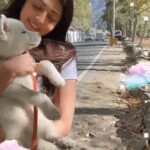 Pranitha Subhash Instagram - Reminds me of baby Blu 🐶