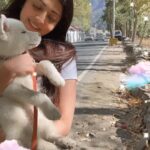 Pranitha Subhash Instagram – Reminds me of baby Blu 🐶