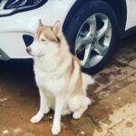 Pranitha Subhash Instagram - @blu_diaries enjoying the breeze post the crazy rains !