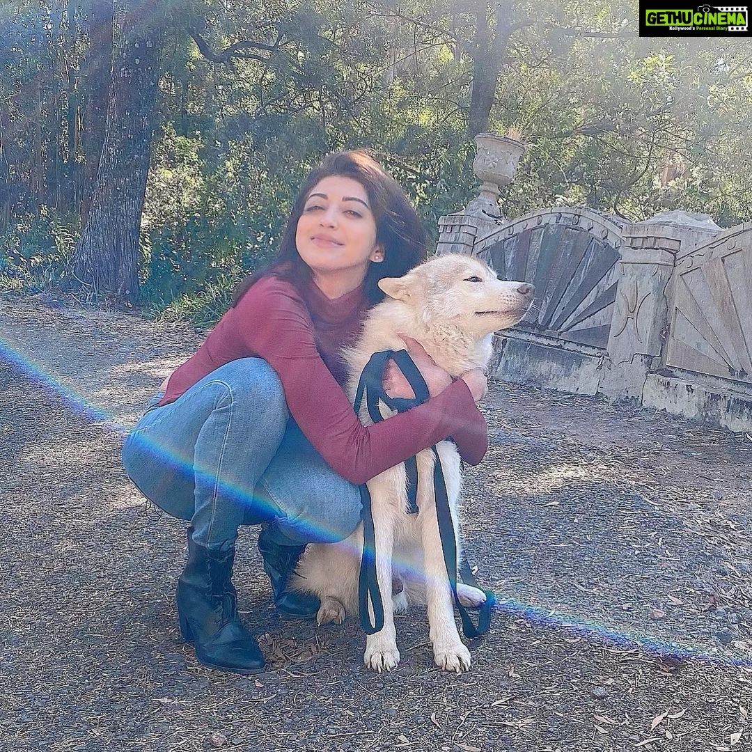 Pranitha Subhash Instagram - Love don’t cost a thing .. 🎵