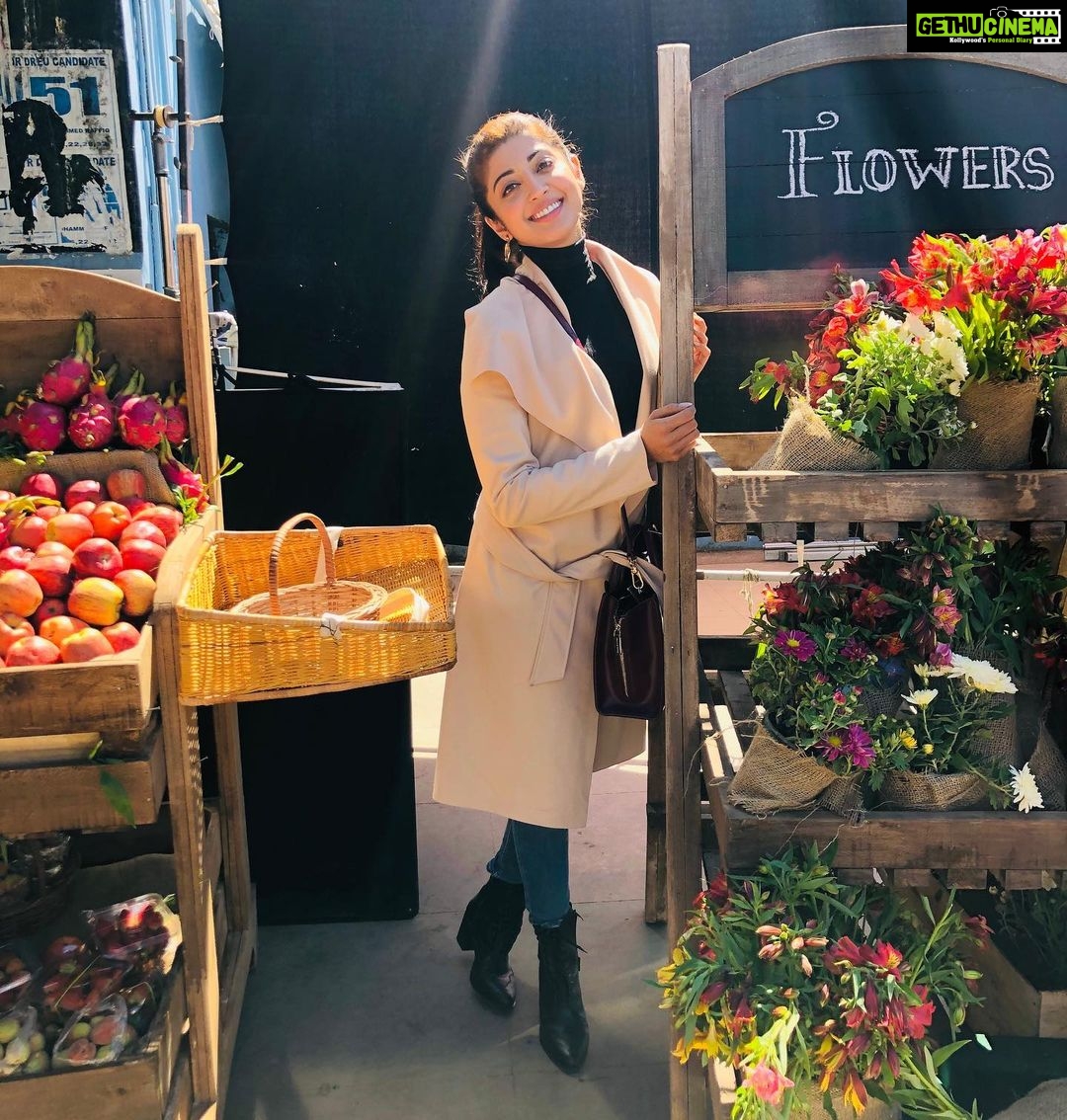 Pranitha Subhash Instagram - Throwback to spring colours in winter 🌸
