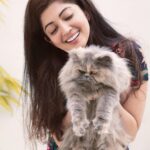 Pranitha Subhash Instagram – Not a cat person at alll! But couldn’t help petting this fur ball . Me thinks he resembles the Grumpy Cat., na ? #grumpycat