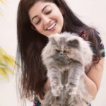 Pranitha Subhash Instagram - Not a cat person at alll! But couldn’t help petting this fur ball . Me thinks he resembles the Grumpy Cat., na ? #grumpycat