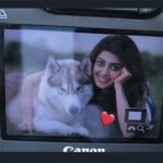 Pranitha Subhash Instagram - #NationalPetDay ! I just need reasons to post pics with this fur ball @blu_diaries