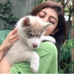 Pranitha Subhash Instagram – #NationalPuppyDay @blu_diaries