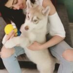 Pranitha Subhash Instagram – Bluey loves minionss 🐶😍