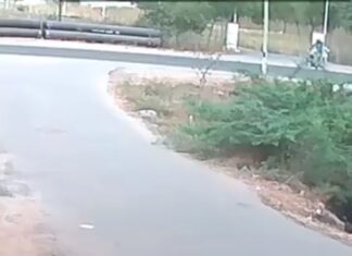 Premgi Amaren Instagram - ‪Oh my god 😳😱🚲🐍‬