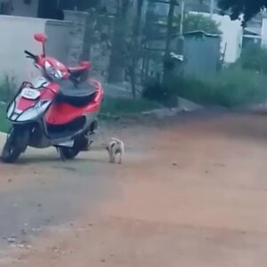 Premgi Amaren Instagram - 😂😂😂😂😂
