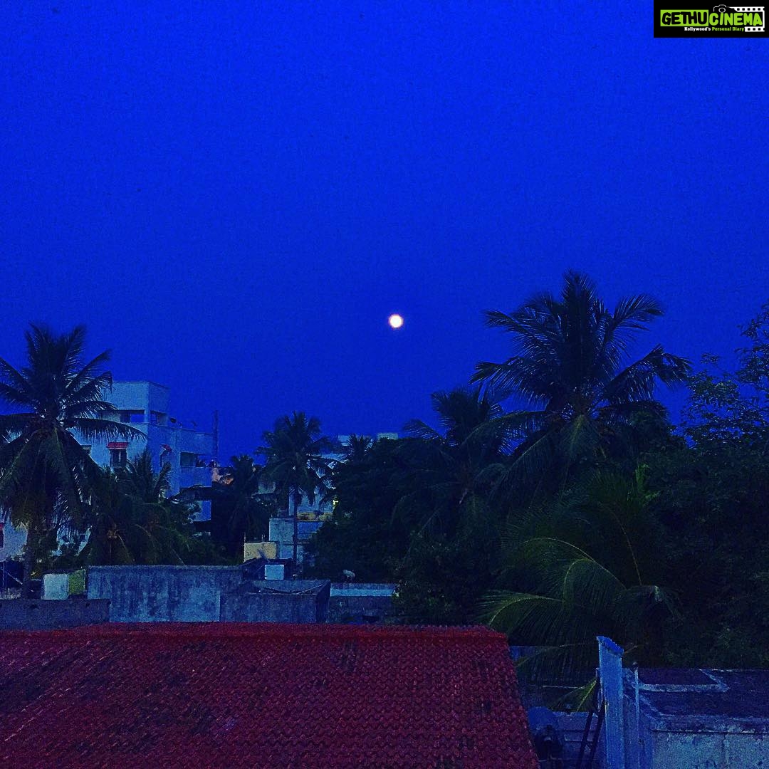 Premgi Amaren Instagram - Full moon 🌝