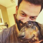 Prithviraj Sukumaran Instagram - Leave me alone hooman! 🙄🐶 #Zorro #daschundsofinstagram